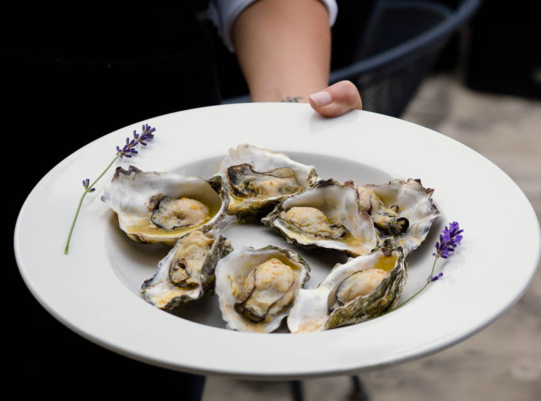 oysters-served